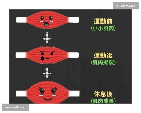 提升球员训练效果的关键因素与科学方法探索 提升球员训练效果的关键因素与科学方法探索