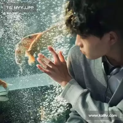 蒙倩群
